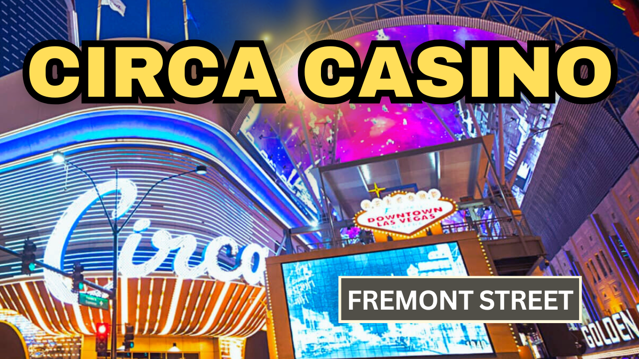 Circa Resort | Downtown Las Vegas Casino & Stadium Swim